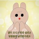 영덕회식당(시청점) | 영덕회식당 시청점 | 시청역 회 맛집, 물회 하나만큼은 진짜였다 솔직 후기