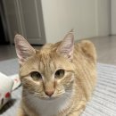 동구네집 이미지