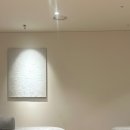 여의도 동물병원 은하점 | 여의도 피부과 :: 엔진리프팅 후기 | 중안부 축소｜중안부 리프팅｜효과 통증 가격｜이브타이탄 비교