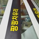 팡팡차유리