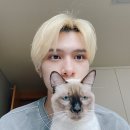 더비전 이미지