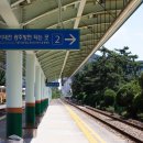 벌교역 티스토리