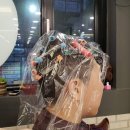 가정커트와 펌 이미지