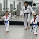 위올태권도 이미지