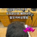 반송 미장원