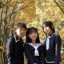 후르츠바스켓 이미지