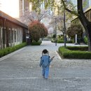온앤드온 | 와이프 생일에 샤브앤드 갔다 온 솔직 후기