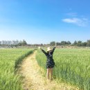 고잔농장 이미지