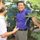 김갑종농장 이미지