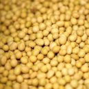 부산뷔페 이미지