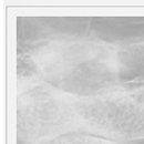 시지바름플란트치과의원 이미지