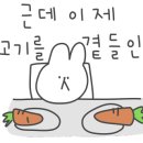 상동주먹고기 이미지