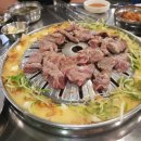 장수갈매기 이미지