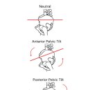 허리나 연구소 이미지