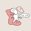 천안약손한의원 | 미니멀리스트로 거듭날 결심 | 4.16~4.21