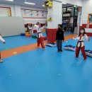 국가대표용인대박사태권도장 이미지