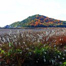 구봉도입구 이미지