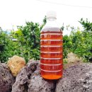 무릉2리(무릉도원마을)농촌체험휴양마을 | [제주여행 서귀포체험휴양마을#6]무릉도원마을 무릉2리 개복숭아청 쉰다리만들기