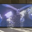 수정수진1-D-1 이미지