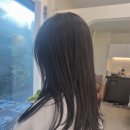 박하헤어스투디오