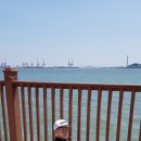 솔찬어린이집 | 송도신도시 솔찬공원 다녀왔어요