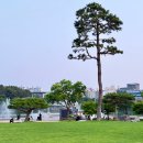 [순천] 조례동 &#34;조례호수공원 &#34; 도심속 힐링