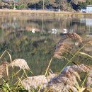 현천농장 이미지