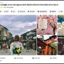 신성트래블 | 교토 당일치기 투어 추천 인디고트래블 찐 후기