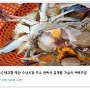 태안수산 네이버블로그