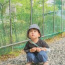 휴먼시아3단지아파트 이미지