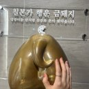 칠돈본가