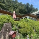 청기와뜰 | 인제자작나무숲 여행길에 만난 따뜻한 한 끼, 인제 청기와맛집