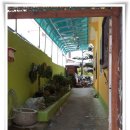 천둥옻오리 이미지