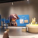 민화 속 반려동물 이미지