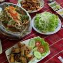 타조투어