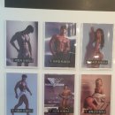 테스휘트니스센타 이미지