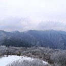 삼가-9 Daum카페