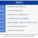 신트래블 보홀데이투어 오션젯 탑승, 로복강, 초콜릿힐 ,안경원숭이 후기 + 마요호텔 조식 솔직 후기