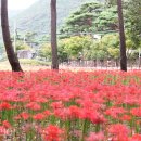 성주산자연휴양림 이미지