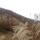 풍생고정문 앞 이미지