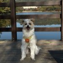 광장자동차공업사 | 가을 사진 모음 대방출✨with 콩이