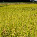 사양서당 강당 이미지