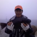 강정동-47 이미지