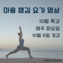 다솜요가 | 다솜 요가 명상센터 10월 특강 후기