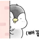 민들레소아청소년과의원 이미지