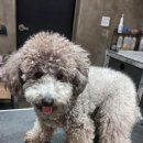 뚜뚜하니 이미지