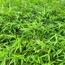 SG행정사사무소 이미지