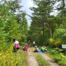 금강송면사무소 이미지