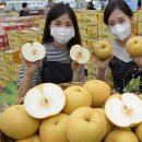 화산유통 이미지