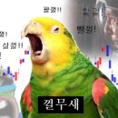 성우테크론 | [엔텔스] 단타후기 (3)